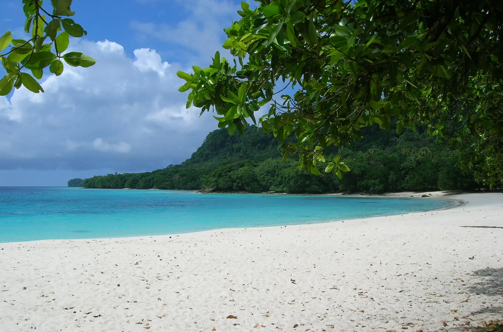 Weißer Sand und türkisfarbenes Wasser am Champagne Beach auf Espiritu Santo, Vanuatu